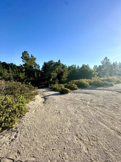 10001 West Drive, Felton CA: https://media.crmls.org/mediaz/aa86eab5-8565-42a0-956e-182680263e5e.jpg
