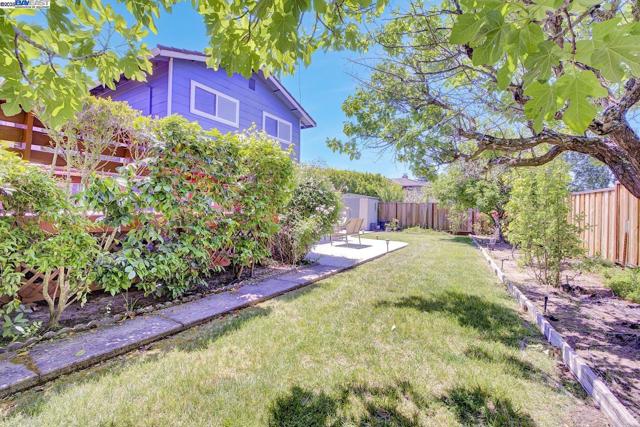 1487 De Palma Dr, San Jose CA: https://media.crmls.org/mediaz/aaa55bf1-5c78-4900-be3a-7fbe4bd7a6a8.jpg