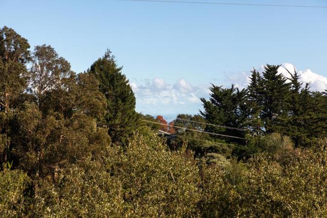 229 Alamo Avenue, Santa Cruz CA: https://media.crmls.org/mediaz/aaabc9cc-2ac8-43b8-8d52-b245d89ff9b8.jpg