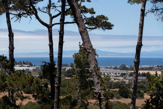 7567 Paseo Vista, Monterey CA: https://media.crmls.org/mediaz/aab16594-8062-4e40-a0b2-a61f57a02a70.jpg
