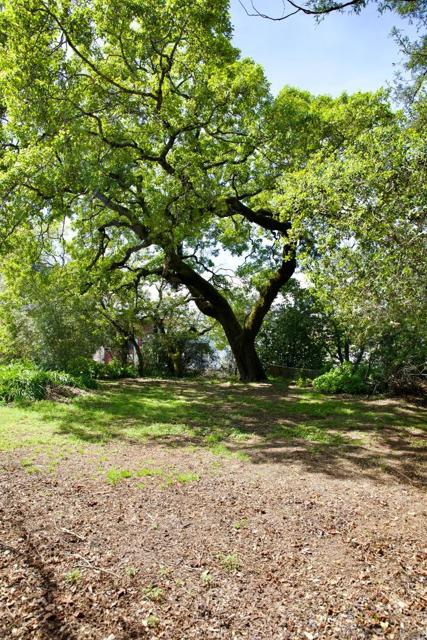 9989 Oak Street, Penngrove CA: https://media.crmls.org/mediaz/aab3c0d4-a3c8-4f12-bd3e-23be0f69cb2d.jpg