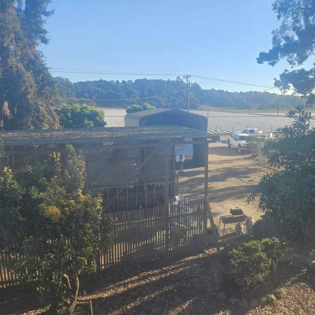 120 Trafton Road, Royal Oaks CA: https://media.crmls.org/mediaz/aac8254a-2602-45c8-94c6-24872da40838.jpg