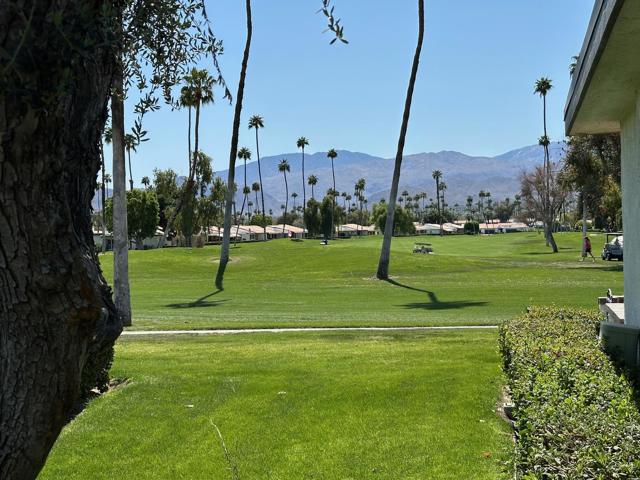 97 Don Quixote Drive, Rancho Mirage CA: https://media.crmls.org/mediaz/aac9ac34-ce26-48b8-a3ae-0a4218fb2389.jpg