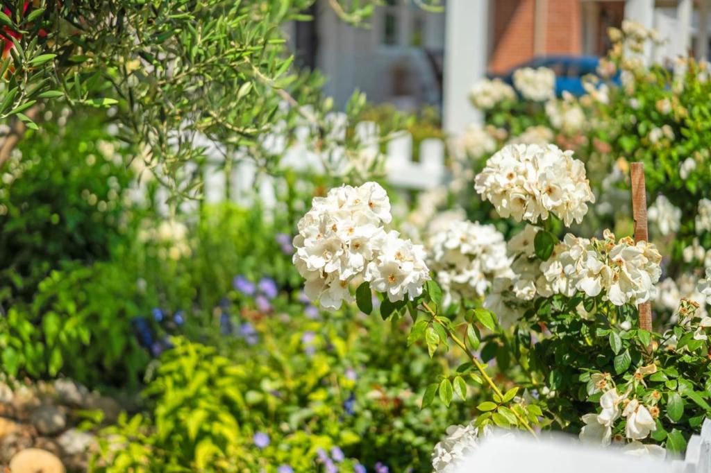 https://media.crmls.org/mediaz/aacb97bc-52a3-446d-9607-a0faa5654246.jpg?preset=X-Large