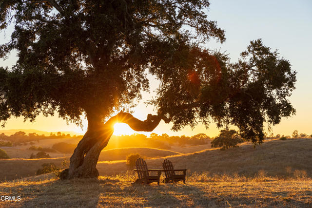 Detail Gallery Image 46 of 52 For 3001 Long Valley Rd, Santa Ynez,  CA 93460 - 6 Beds | 6/2 Baths