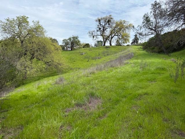 11 Little Uvas Road, Morgan Hill CA: https://media.crmls.org/mediaz/aadb6e21-9c89-475f-a97c-9405bfb2d243.jpg