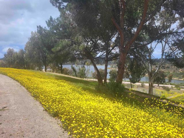 Detail Gallery Image 42 of 45 For 5712 Baltimore Dr #468,  La Mesa,  CA 91942 - 0 Beds | 1 Baths