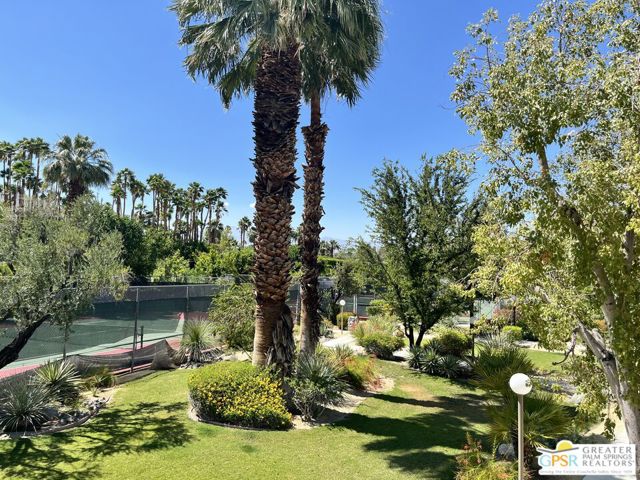 1816 N Mira Loma Way, Palm Springs CA: https://media.crmls.org/mediaz/aaf2d8cb-8054-4f25-a6e2-ac46a0e77e53.jpg