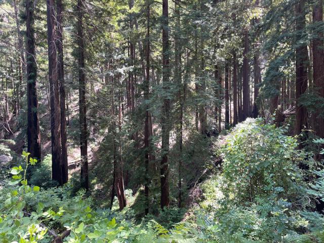 506 Sunset Road, Boulder Creek CA: https://media.crmls.org/mediaz/aaf650b0-01ec-467d-b9fe-079ff98bece3.jpg