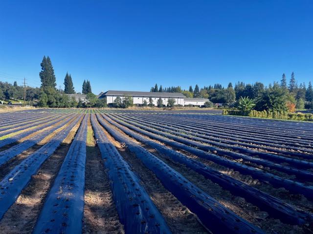 7314 Santa Juanita Avenue, Orangevale CA: https://media.crmls.org/mediaz/aaf7d3be-23ca-46b5-8b1f-4a1316e5ffe4.jpg