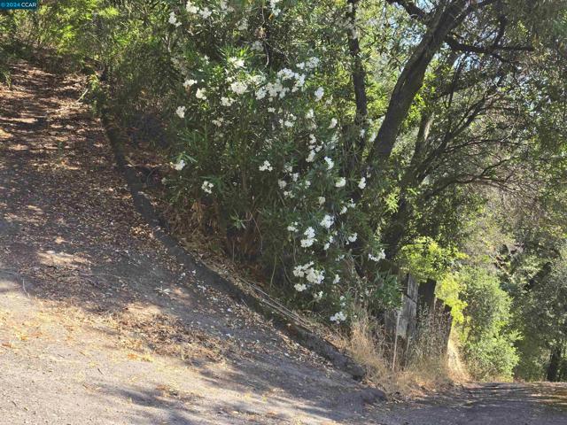 100 Black Log Rd, Kentfield CA: https://media.crmls.org/mediaz/ab01b2eb-a481-4ceb-8cb1-2d451e443aeb.jpg