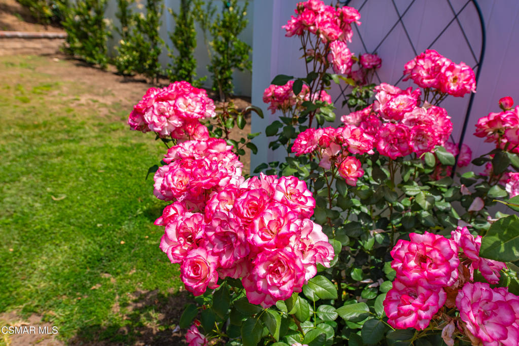 https://media.crmls.org/mediaz/ab03a981-a3c7-44d1-af4c-1b31843b2c53.jpg?preset=X-Large