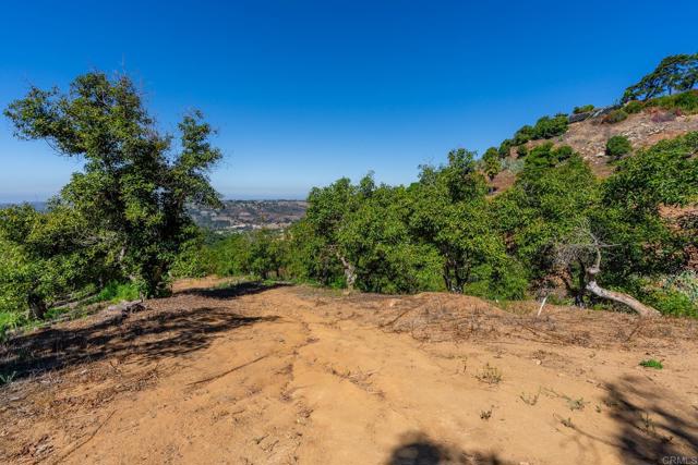 0 Wilt Road, Fallbrook CA: https://media.crmls.org/mediaz/ab03ec27-16a7-4f91-a7b1-e1b1c9bffaf8.jpg