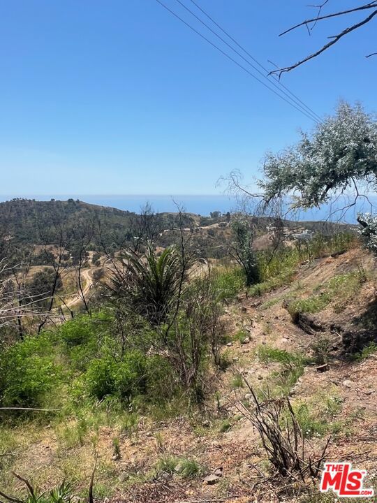 2566 Tuna Canyon Road, Topanga CA: https://media.crmls.org/mediaz/ab066876-5733-48ec-8231-124c8f892353.jpg
