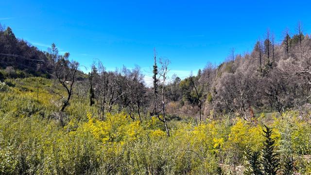 11035 Empire Grade, Santa Cruz CA: https://media.crmls.org/mediaz/ab09d204-8d4b-4ab1-aba8-d94babfb05da.jpg