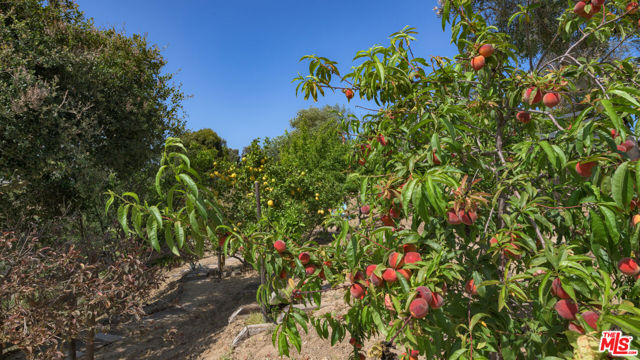 6815 Dume Drive, Malibu CA: https://media.crmls.org/mediaz/ab0c2ff3-def2-440a-921c-966c1d90162a.jpg