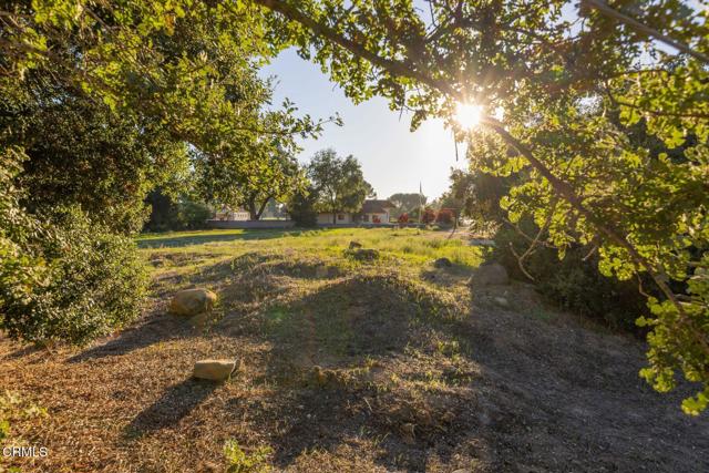 0 E Ojai Avenue, Ojai CA: https://media.crmls.org/mediaz/ab11ee22-5539-4515-a8c1-92115bf86950.jpg