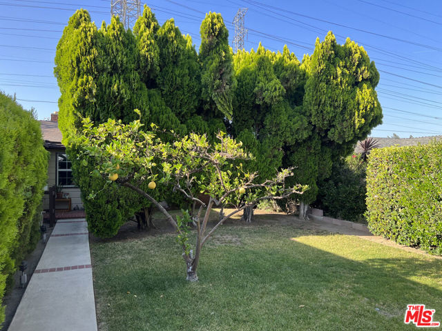 17133 SIMONDS Street photo 3