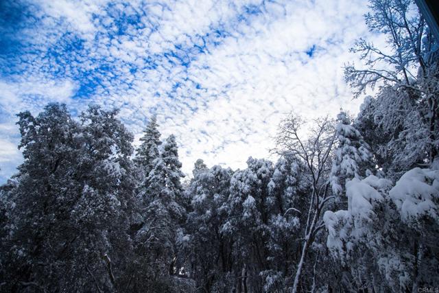 Detail Gallery Image 58 of 61 For 22234 Crestline Rd, Palomar Mountain,  CA 92060 - 3 Beds | 1/1 Baths