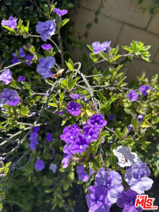 https://media.crmls.org/mediaz/ab1b7238-d2a8-4262-bf83-f2864404b3eb.jpg?preset=X-Large
