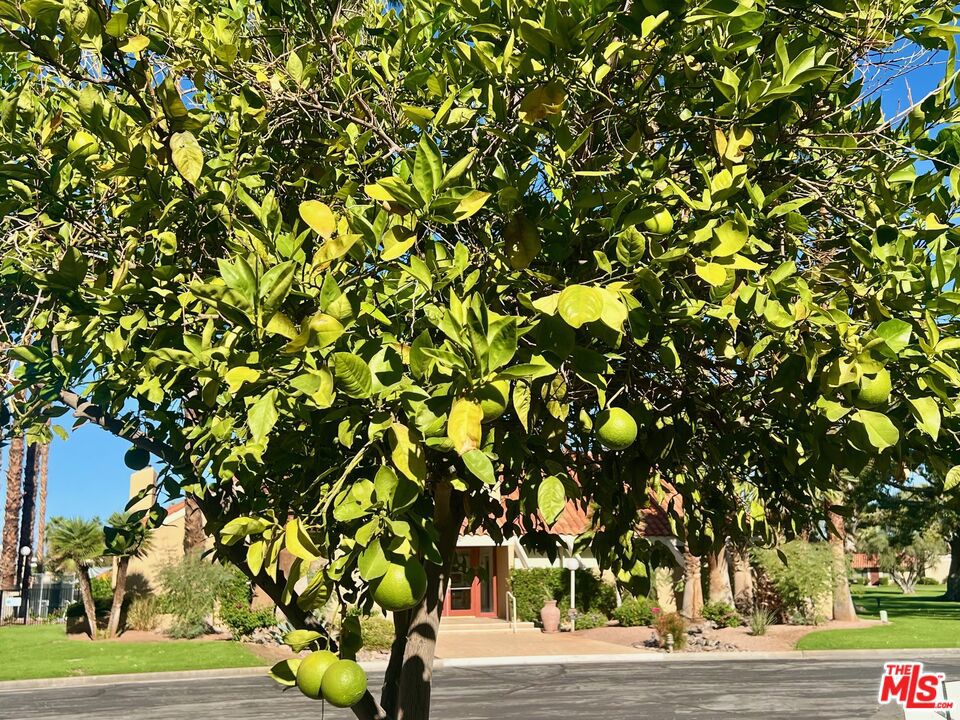 MLS #25612225 image #29