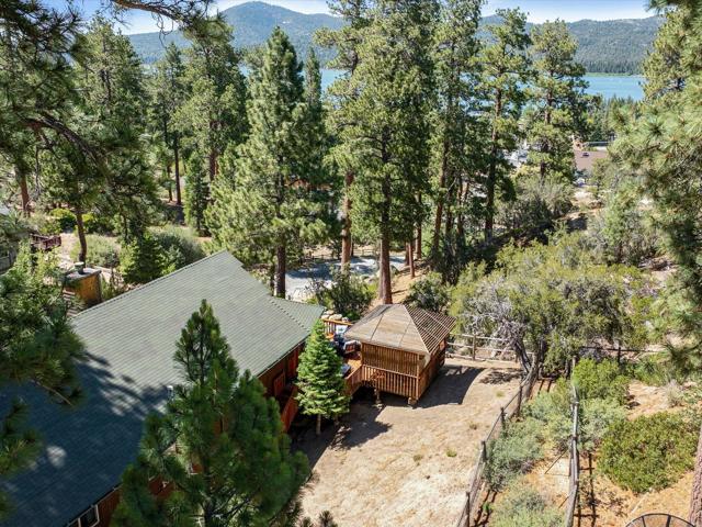 799 Paine Road, Big Bear, CA 92315