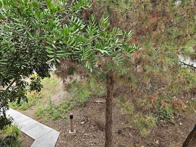 4558 Northern Moon Way, San Diego CA: https://media.crmls.org/mediaz/ab2721af-0da6-4bf1-85f8-ba38bf39fc22.jpg
