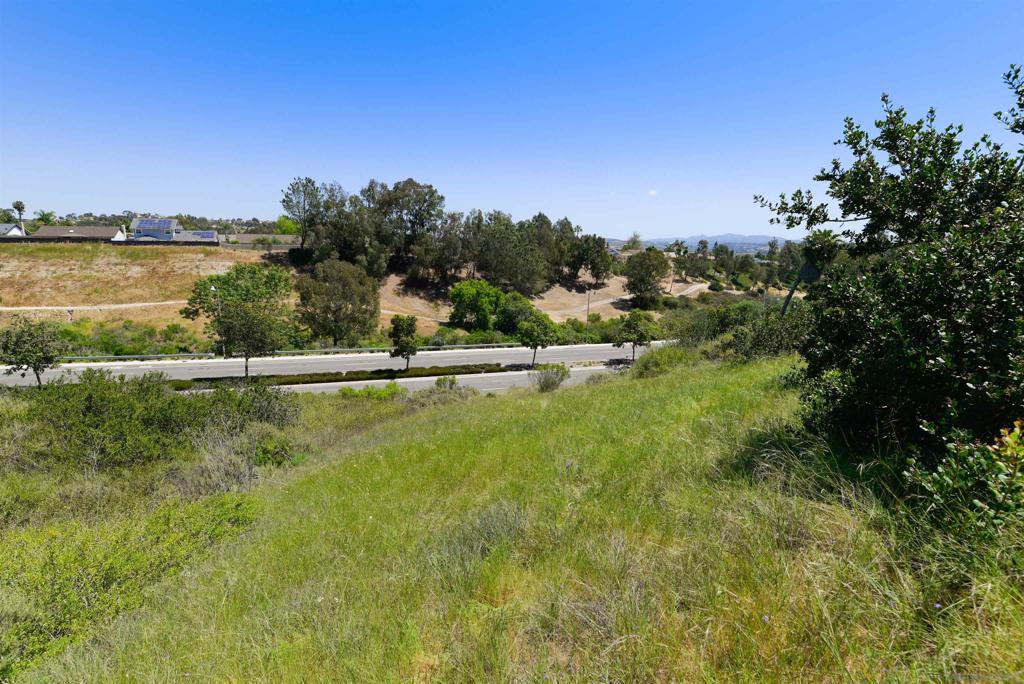 El Camino Real Carlsbad - photo 10