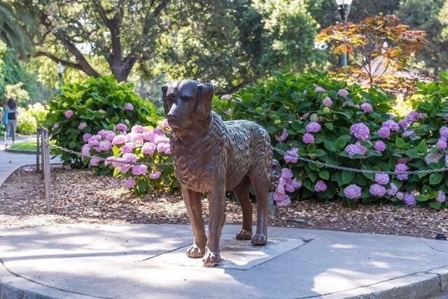 10 9th Avenue, San Mateo CA: https://media.crmls.org/mediaz/ab37c581-7140-4f0a-88af-b506000f938f.jpg