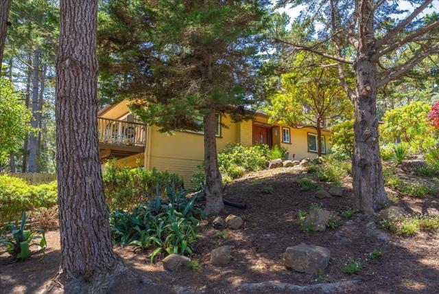 1 Windsor Rise, Monterey CA: https://media.crmls.org/mediaz/ab40491e-d4a8-43c7-b700-36896b2cf3f9.jpg