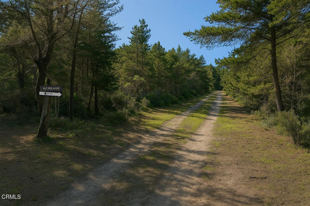 Detail Gallery Image 8 of 16 For 43535 Comptche Ukiah Rd, Mendocino,  CA 95460 - – Beds | – Baths