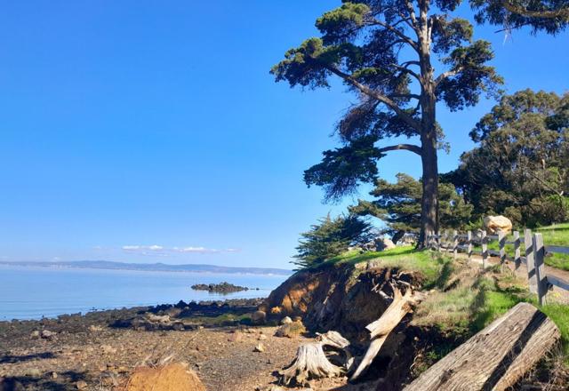 430 Grand Boulevard, San Mateo CA: https://media.crmls.org/mediaz/ab467432-fdc8-4f52-a5b2-63fa069151d9.jpg