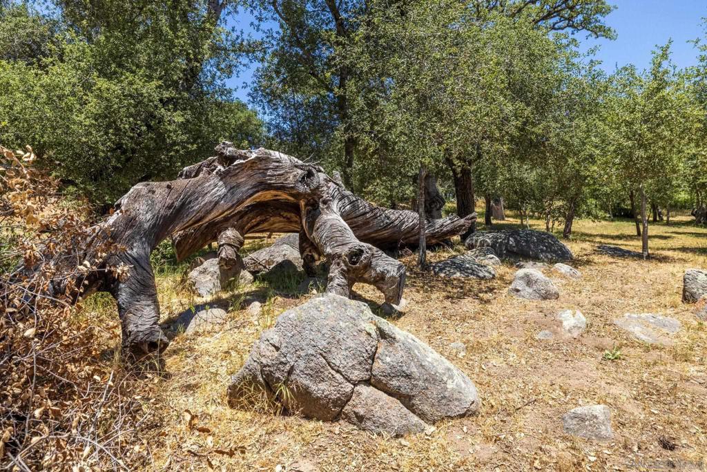 https://media.crmls.org/mediaz/ab4e2c02-f672-449a-b7c5-d31db00e07b5.jpg?preset=X-Large