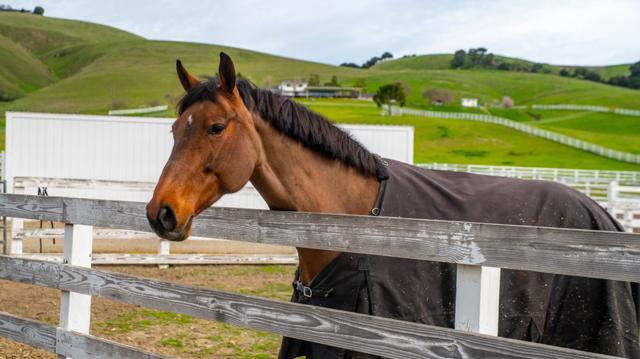 6033 Dagnino Road, Livermore CA: https://media.crmls.org/mediaz/ab50c027-35b9-490c-8c46-4332423d9e20.jpg