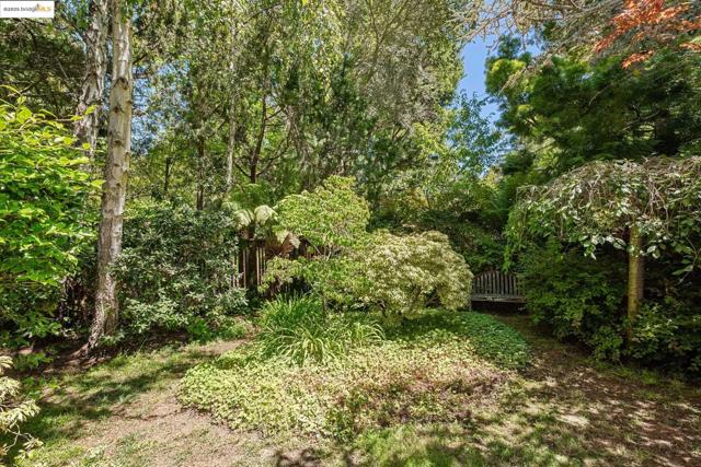 39 Norwood Ave, Kensington CA: https://media.crmls.org/mediaz/ab542fce-cd06-4cbb-95fc-d63f0e600112.jpg