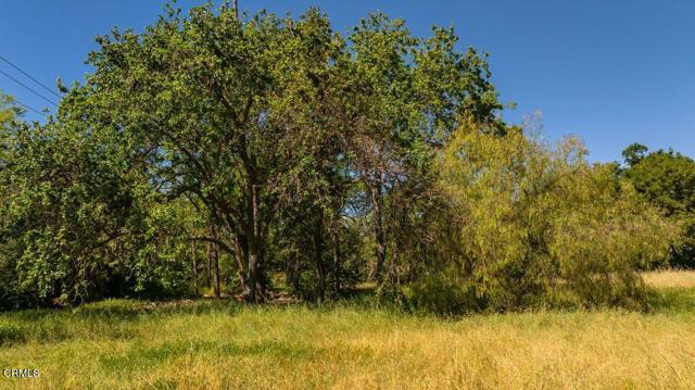 Detail Gallery Image 9 of 30 For 401 S Fulton St, Ojai,  CA 93023 - – Beds | – Baths