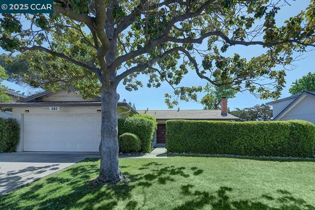 387 ODIN PLACE, Pleasant Hill CA: https://media.crmls.org/mediaz/ab5e00e9-96da-4025-84c3-bb6a48acf48c.jpg