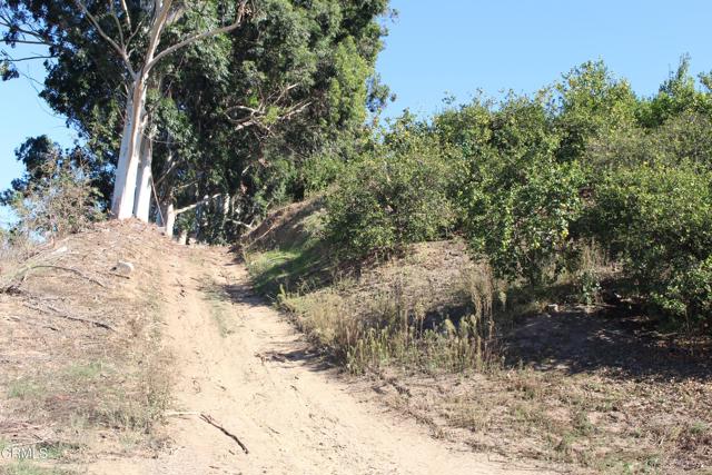 Detail Gallery Image 7 of 15 For 4363 Sand Canyon Rd, Somis,  CA 93066 - – Beds | – Baths