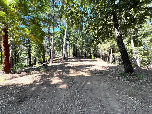 0 E Hilton, Boulder Creek CA: https://media.crmls.org/mediaz/ab67f127-4d7b-488c-866f-61d59cb17958.jpg