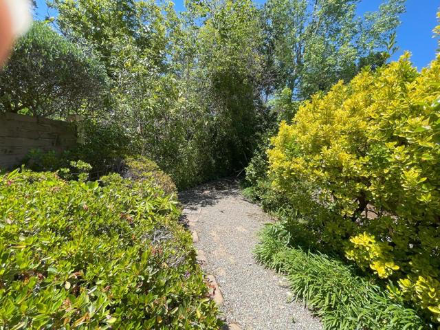 843 Sonoma Terrace, Stanford CA: https://media.crmls.org/mediaz/ab6a5010-9529-4eef-be71-99fcd768264e.jpg