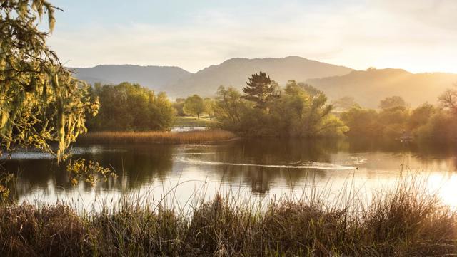 8 Touche, Carmel CA: https://media.crmls.org/mediaz/ab6e3310-9a6d-48b0-9c1e-4d72feeeda2d.jpg