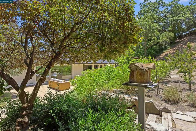 3363 Springhill Rd, Lafayette CA: https://media.crmls.org/mediaz/ab702673-bcf2-4a36-b114-16562a20ba8d.jpg