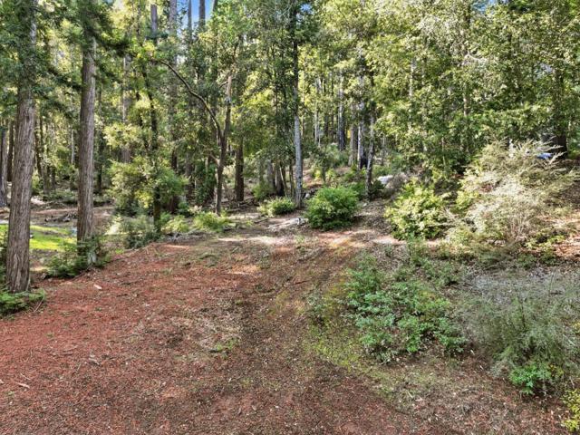 675 Western Avenue, Brookdale CA: https://media.crmls.org/mediaz/ab71d044-f3fc-482c-a5bf-f83abe26e062.jpg