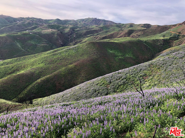 3900 Latigo Canyon Road, Malibu CA: https://media.crmls.org/mediaz/ab744ff4-d07f-49da-a859-7d811ed6f622.jpg