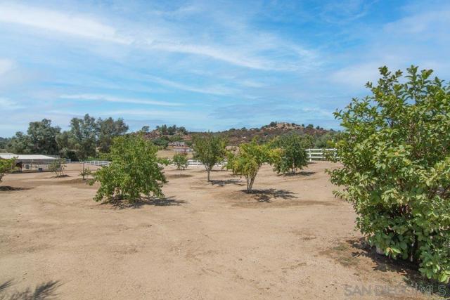 Image 60 of 75 For 37789 Avenida La Cresta