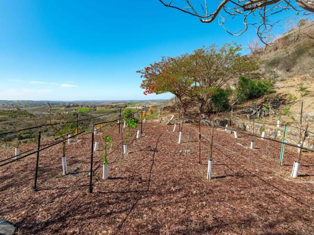 30419 Canyon Estates Road, Vista CA: https://media.crmls.org/mediaz/ab8082a6-7117-4c94-8909-594e81c133f3.jpg
