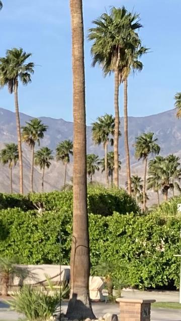 69411 Ramon Road, Cathedral City CA: https://media.crmls.org/mediaz/ab8536a3-bfe9-4a79-9766-fdc7ea450919.jpg