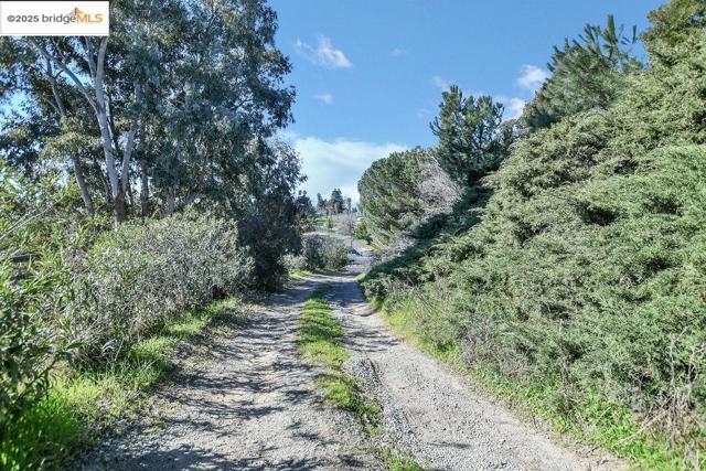 4058 Treat Boulevard, Concord CA: https://media.crmls.org/mediaz/ab9211a1-7a79-4706-a7ea-46a0a8e39b0c.jpg