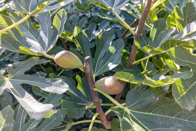 2833 Sailor Avenue, Ventura CA: https://media.crmls.org/mediaz/ab92dd68-c1e0-431f-9d7d-4e6eccd26bc0.jpg