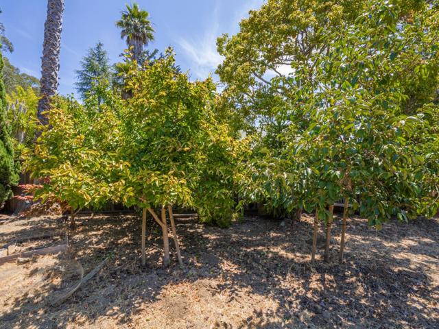 0 High Street, Santa Cruz CA: https://media.crmls.org/mediaz/ab93a303-ce05-4561-ac63-30c7ff081bec.jpg